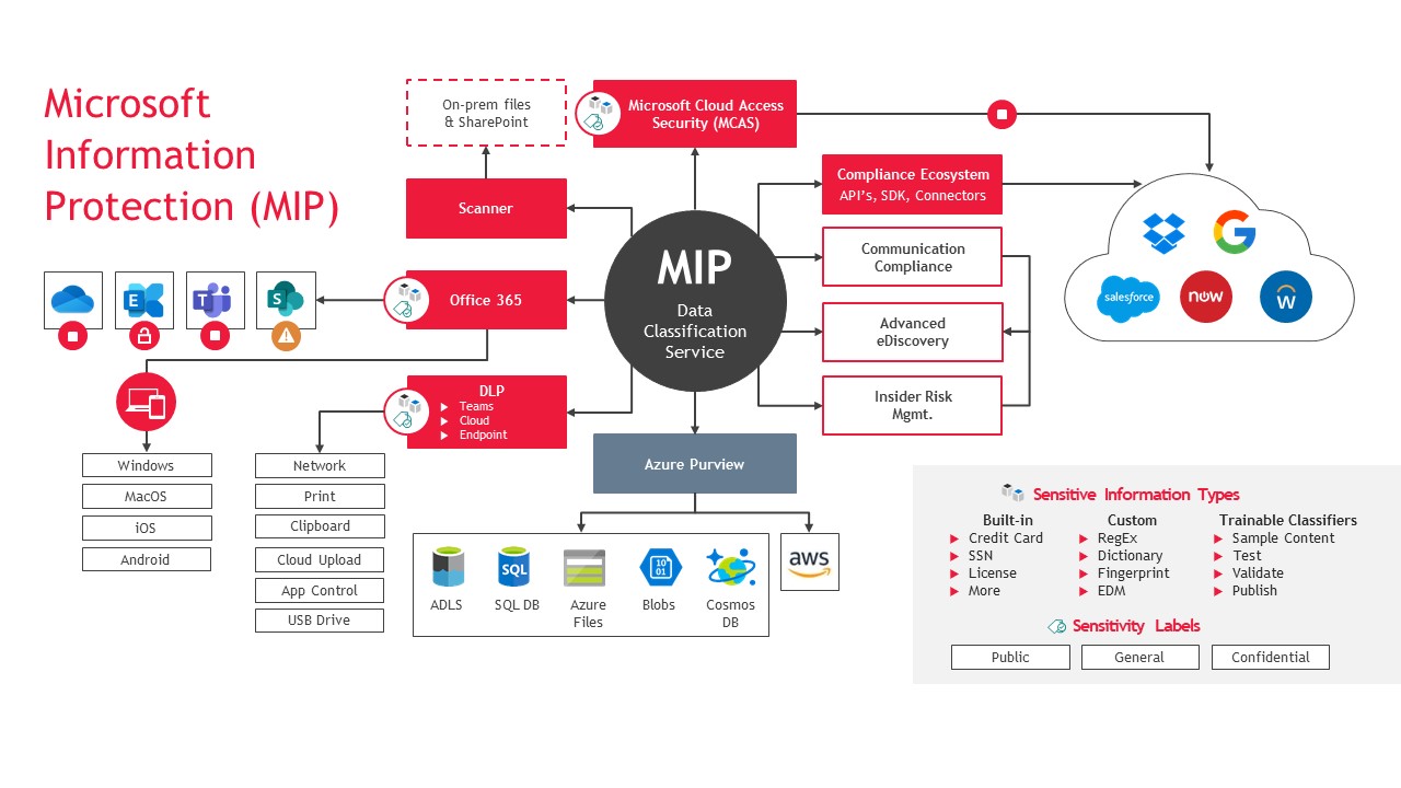 Microsoft Information Protection graphic.