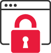Data security icon