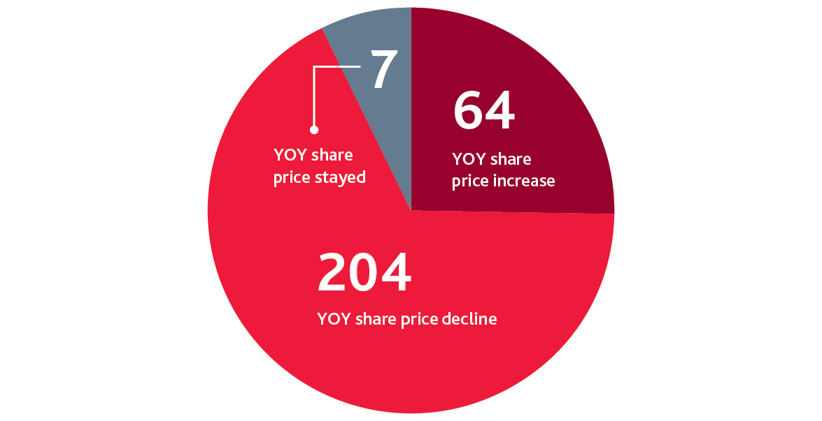 Chart of YOY share prices