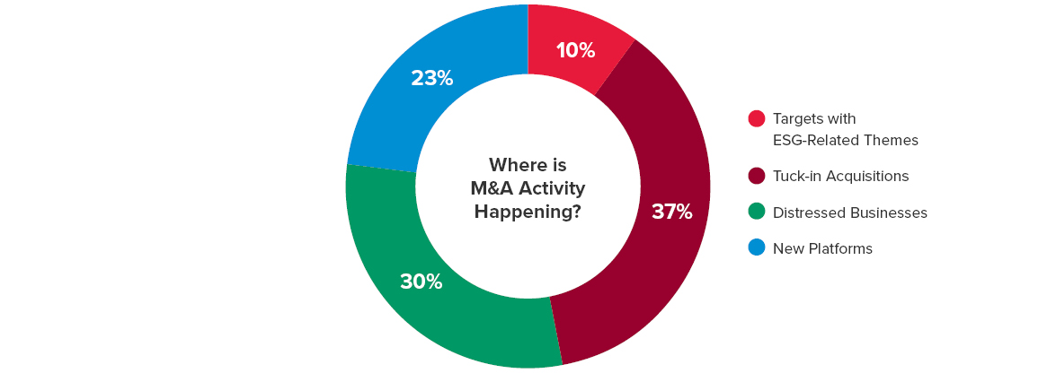 Chart showing where M&A Activity is Happening.