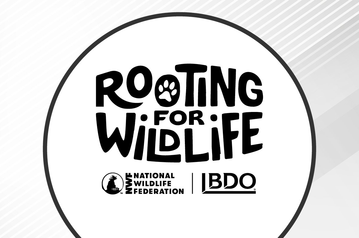 National Wildlife Federation Insight Image Rooting for Wildlife image.