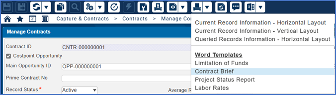 Costpoint manage contracts