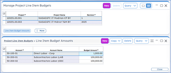 Managing Project Line Item Budgets