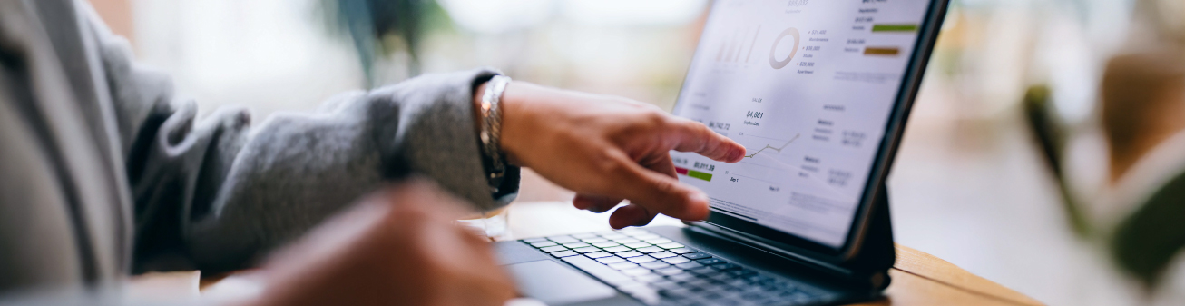 Image of a person looking at reporting.