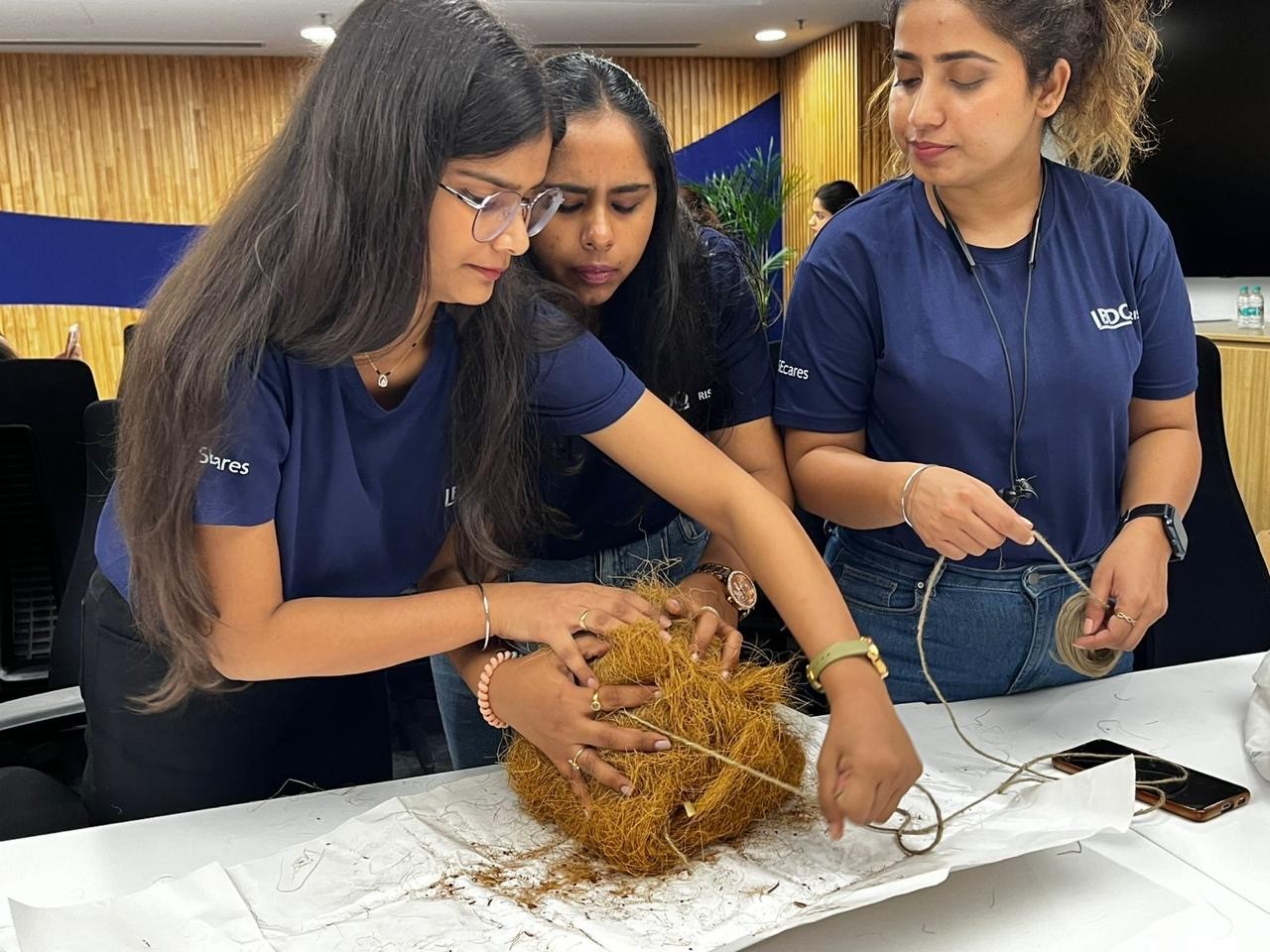 BDO RISE bird nest making.