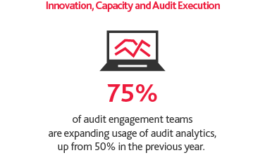 Graphic of the Innovation, Capacity and Audit Execution