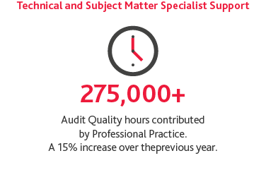 Graphic of the Technical and Subject Matter Specialist Support