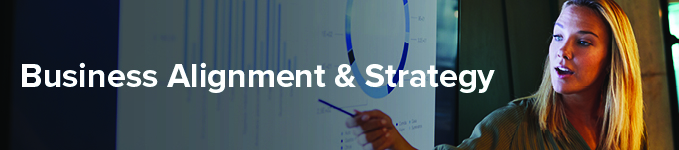 Business Alignment & Strategy