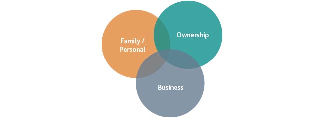 TAX_PCS_Family-Office-Structure-Governance_Chart_3.jpg " "