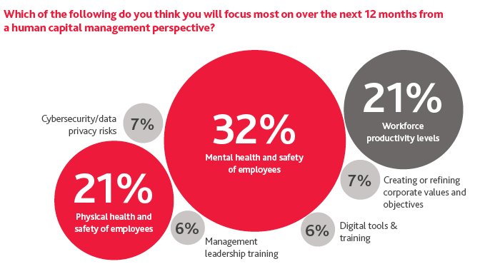 Graphic of organization's focus over the next 12 months from a human capital management perspective