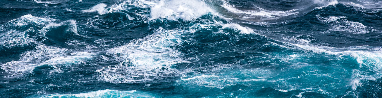 Waves in the ocean