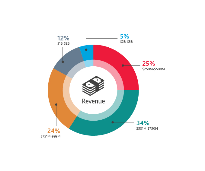 Graphic of Survey Demographics