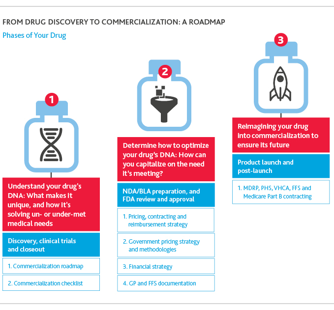 From drug discovery to commercialization: A roadmap