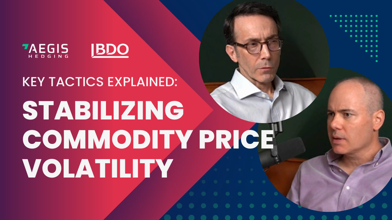 Stabilizing Commodity Price Volatility