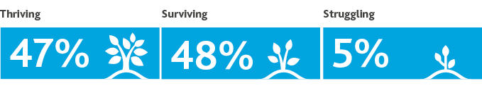 HHS organizations: 47%25 are thriving, 48%25 are surviving and 5%25 are struggling