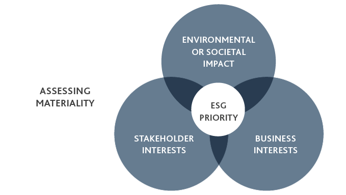 Graphic that shows the intersections of assessing materiality