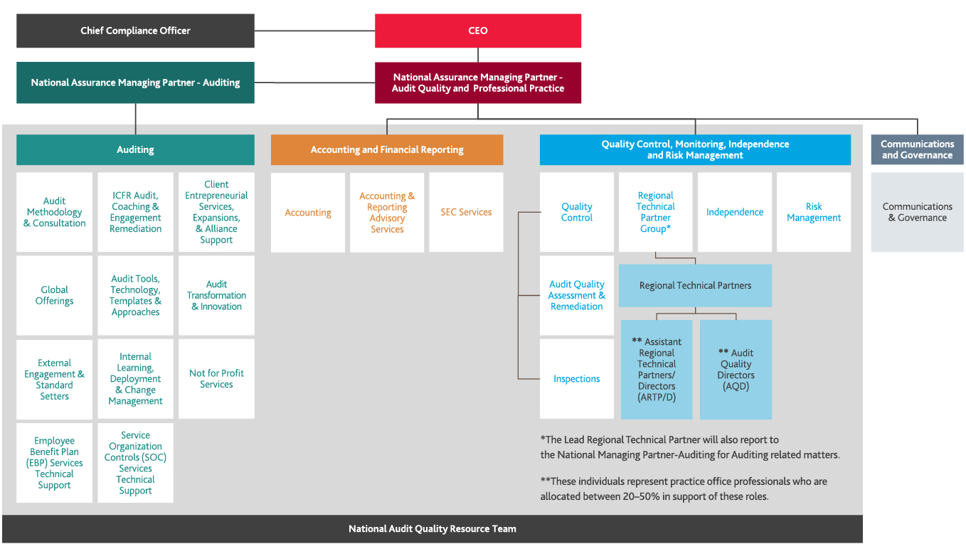 BDOorg-2x-(2).jpg BDOorg-2x-(2).jpg