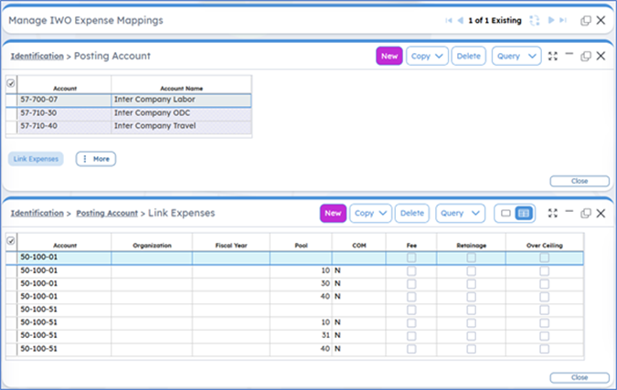 Managing IWO Expense Mappings