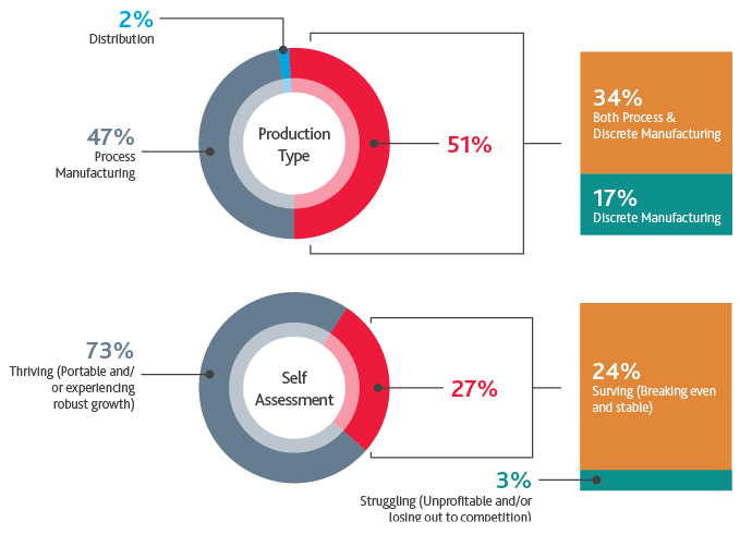 Chart of Production Type and Self Assessment