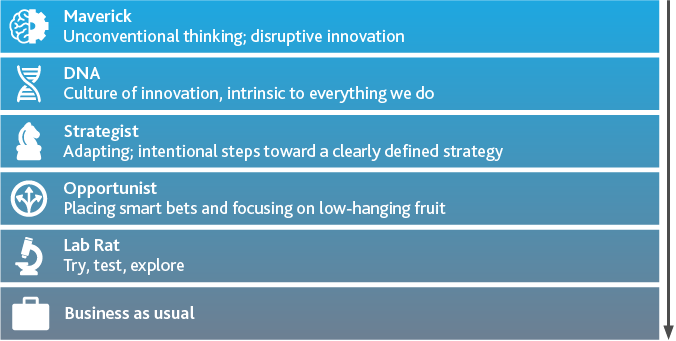 Sect3_2_Innovation-Maturity-Scale.png