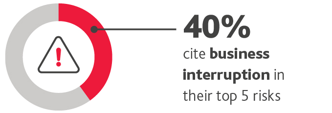 Risk 7 Business Interruption