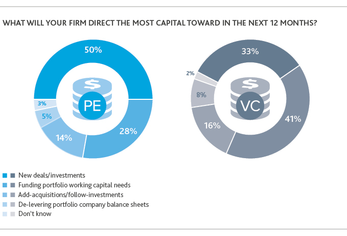 Graphic of what firms will direct the most capital towards in the next 12 months