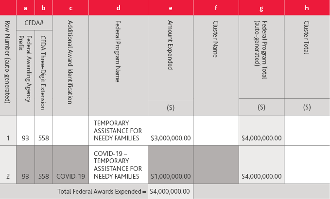 NPE_Nonprofit-Standard-Newsletter_Spring-2021_table2.png Chart of Federal Awards Expended
