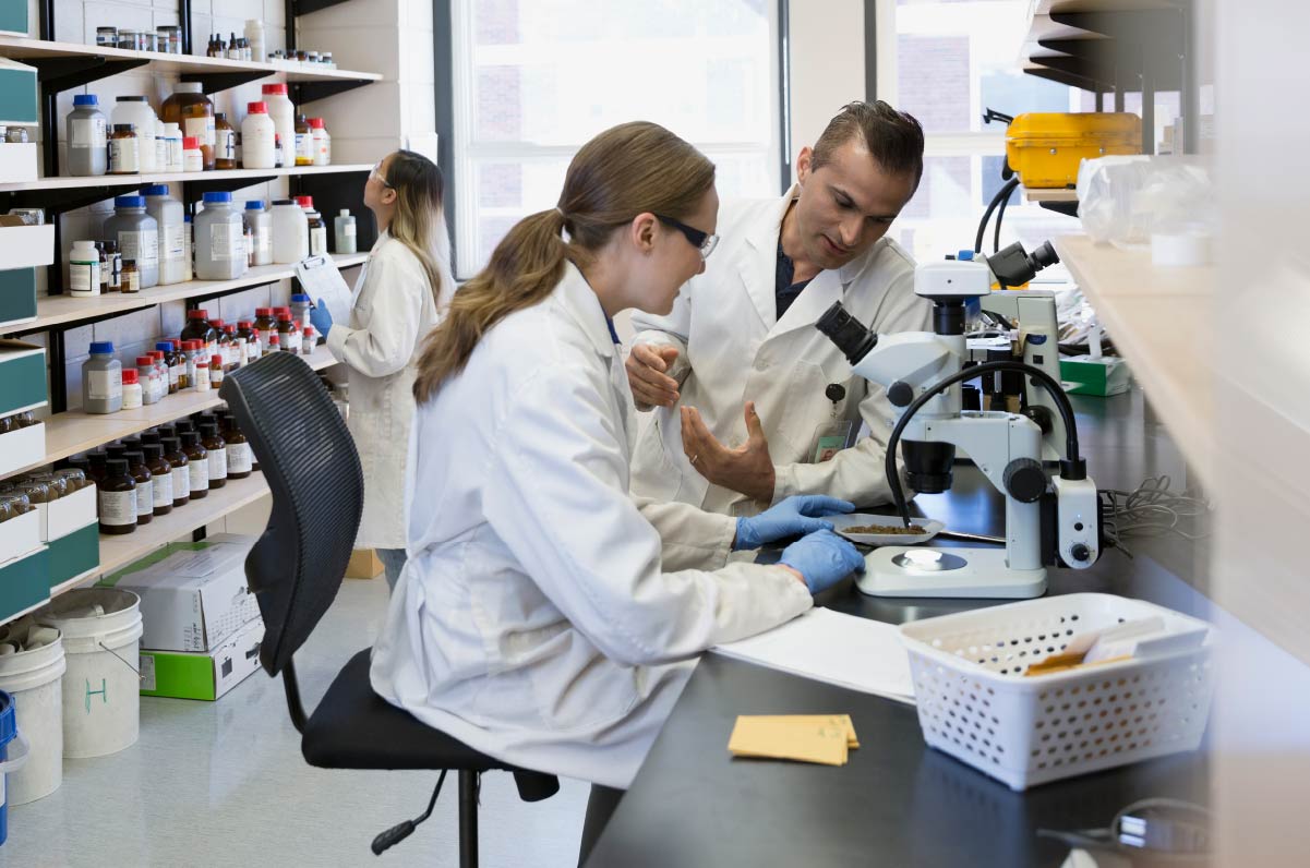 Life Sciences lab