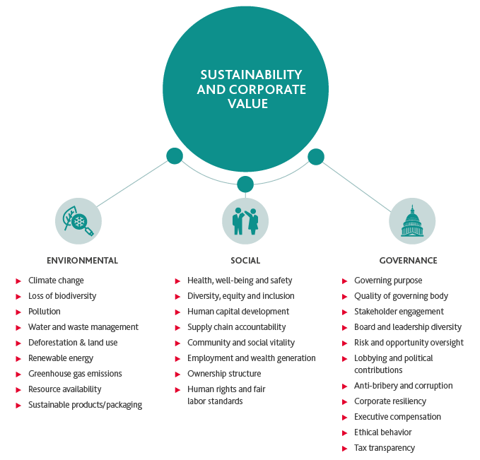 Graphic that shows the ESG factors