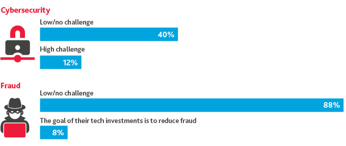 Graphic of Cybersecurity and Fraud Risks