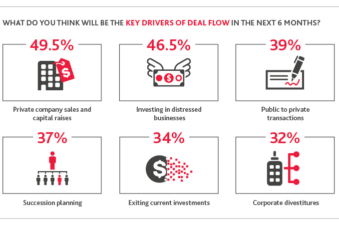 Chart of the Key Drivers of Deal Flow in the Next 6 Months